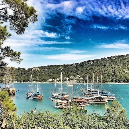 The Sea Cliff Signature Appartement